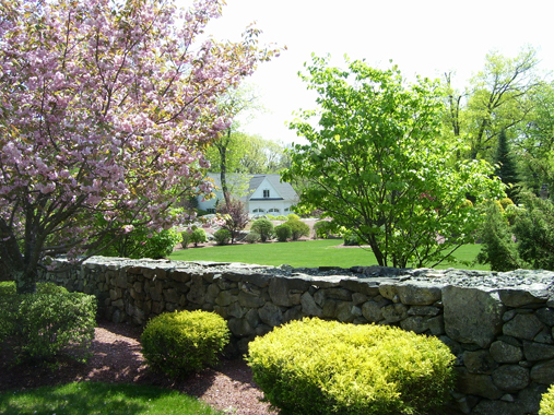Swift Creatve Landscape Inc At Swift S Creative Landscape We Specialize In Innovative And Ecologically Sound Residential Commercial Design Installation
